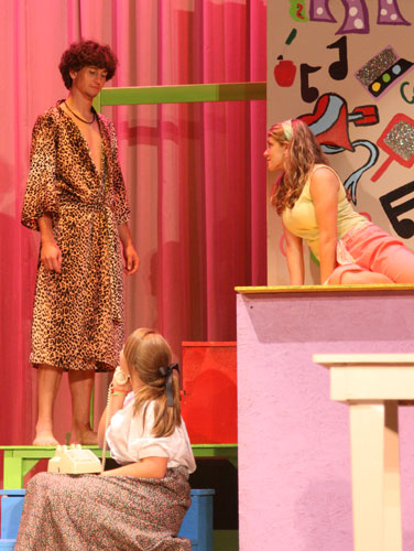 Bye-Bye-Birdie-029.jpg
