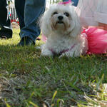 Atmore-Mayfest-045.jpg