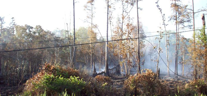 Brush-Fire-Power-Outage-041.jpg
