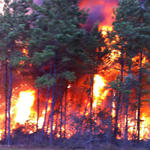 Wildfire-009.jpg