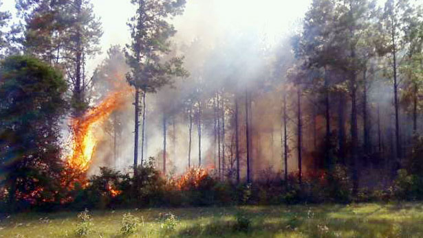 Wildfire-026.jpg