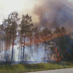 Wildfire-034.jpg