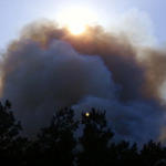 Wildfire-035.jpg