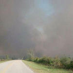 Wildfire-039.jpg