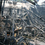 Pollard-McCall-School-Fire-025.jpg