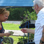 Farmers-Market-039.jpg