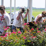 Day Of Service At Molino Park