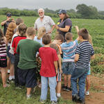 School-Peanut-Field-Day-023.jpg