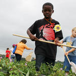 School-Peanut-Field-Day-024.jpg