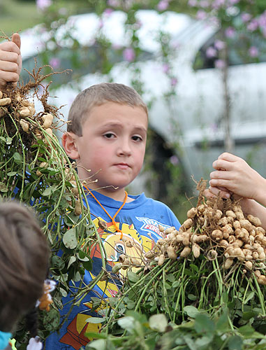 School-Peanut-Field-Day-042.jpg