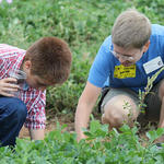 School-Peanut-Field-Day-060.jpg