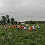 School-Peanut-Field-Day-065.jpg