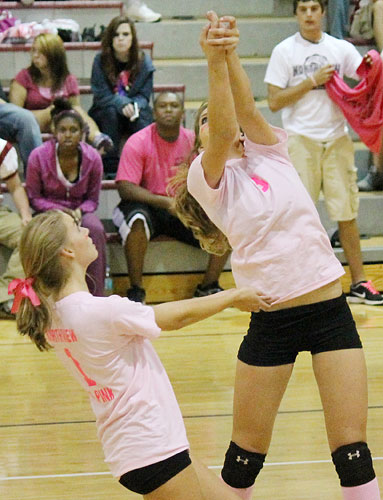 Dig-Pink-015a.jpg