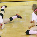 Dig-Pink-015b.jpg
