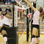 Dig-Pink-019b.jpg