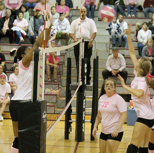 Dig-Pink-019c.jpg