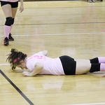 Dig-Pink-020b.jpg