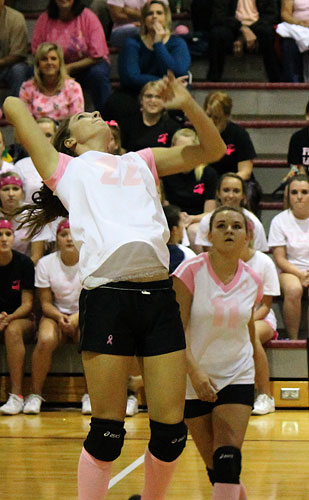 Dig-Pink-023a.jpg