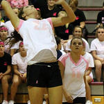 Dig-Pink-023a.jpg