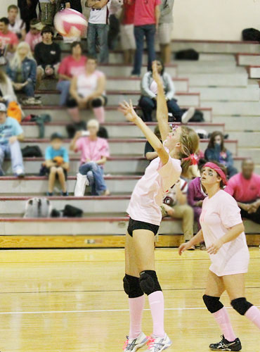 Dig-Pink-025.jpg