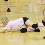 Dig-Pink-025b.jpg