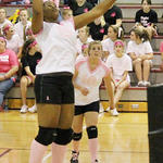 Dig-Pink-026a.jpg