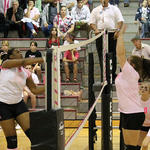 Dig-Pink-026c.jpg