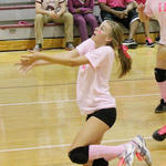 Dig-Pink-027.jpg
