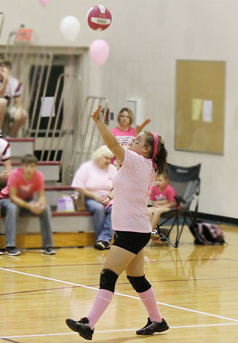 Dig-Pink-029.jpg