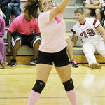Dig-Pink-031.jpg