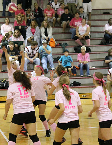 Dig-Pink-031a.jpg