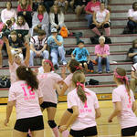 Dig-Pink-031a.jpg