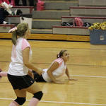 Dig-Pink-034.jpg