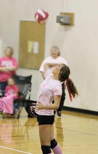 Dig-Pink-036.jpg