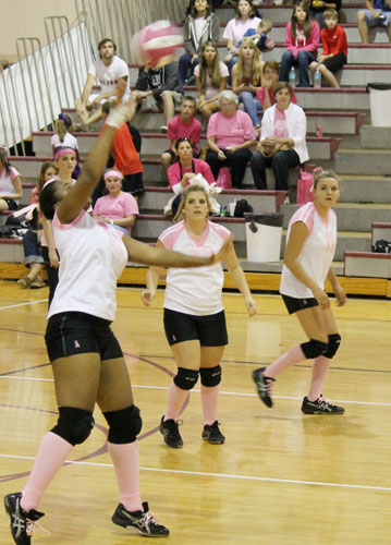 Dig-Pink-038.jpg