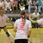 Dig-Pink-041.jpg