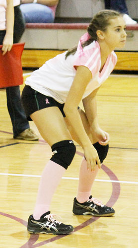 Dig-Pink-048.jpg