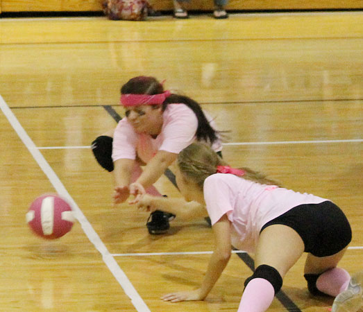 Dig-Pink-057.jpg