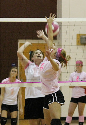 Dig-Pink-065.jpg