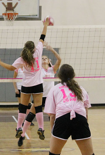 Dig-Pink-067.jpg