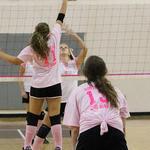 Dig-Pink-067.jpg
