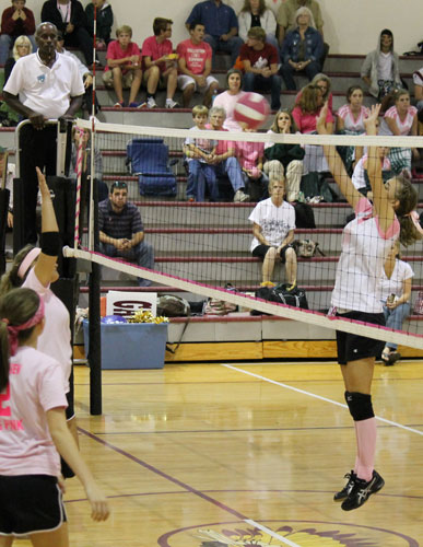 Dig-Pink-069.jpg