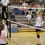 Dig-Pink-069.jpg