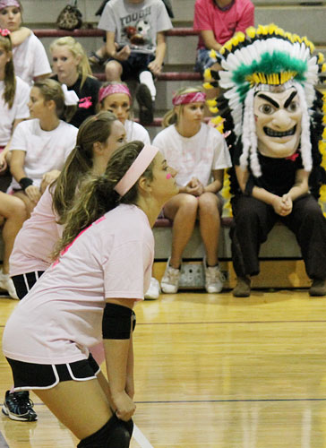 Dig-Pink-071.jpg