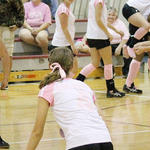 Dig-Pink-077.jpg