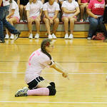 Dig-Pink-078.jpg