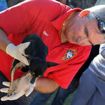 Fire-Puppy-CPR-018.jpg
