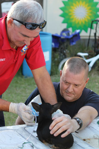 Fire-Puppy-CPR-020.jpg