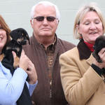 Atmore-Animal-Shelter-013.jpg