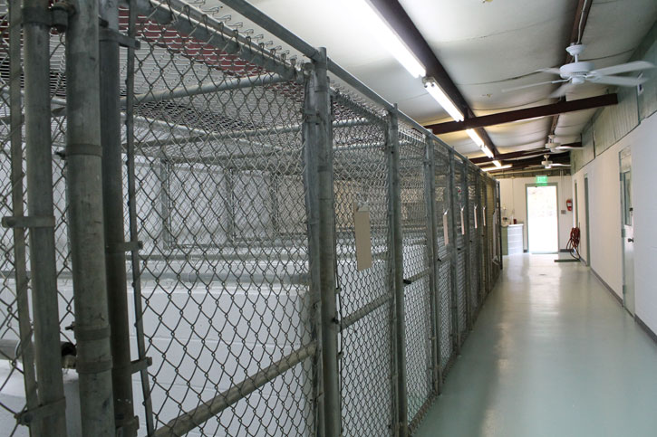 Atmore-Animal-Shelter-048.jpg